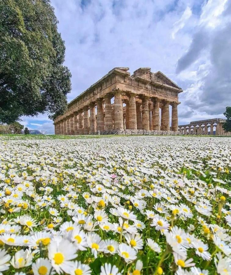 Bed and Breakfast La Ricarda Dimora Di Campagna Paestum Exterior foto