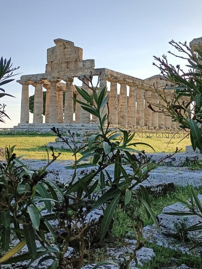Bed and Breakfast La Ricarda Dimora Di Campagna Paestum Exterior foto